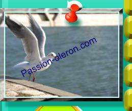 Passion-oleron.com