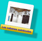 Les cabanes ostréicoles Les cabanes ostréicoles