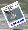 Location  vacances Oléron